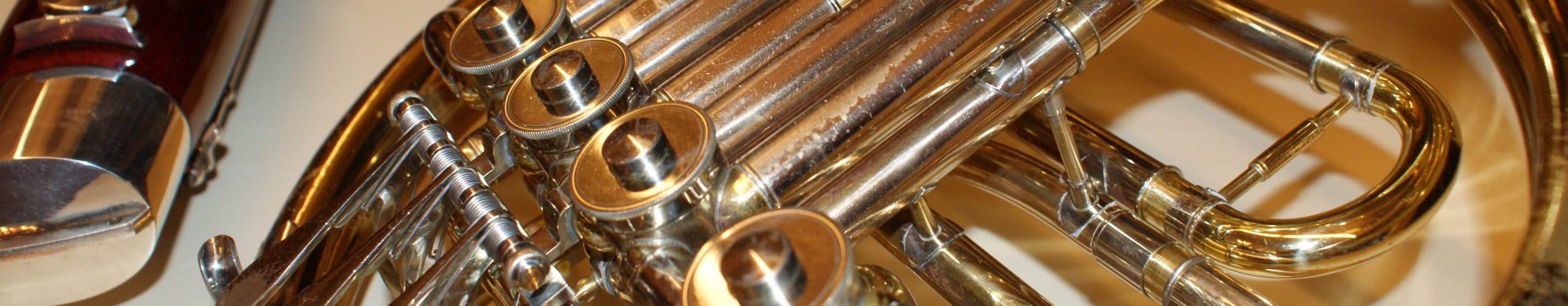 Bläserquintett Quintetto Classico